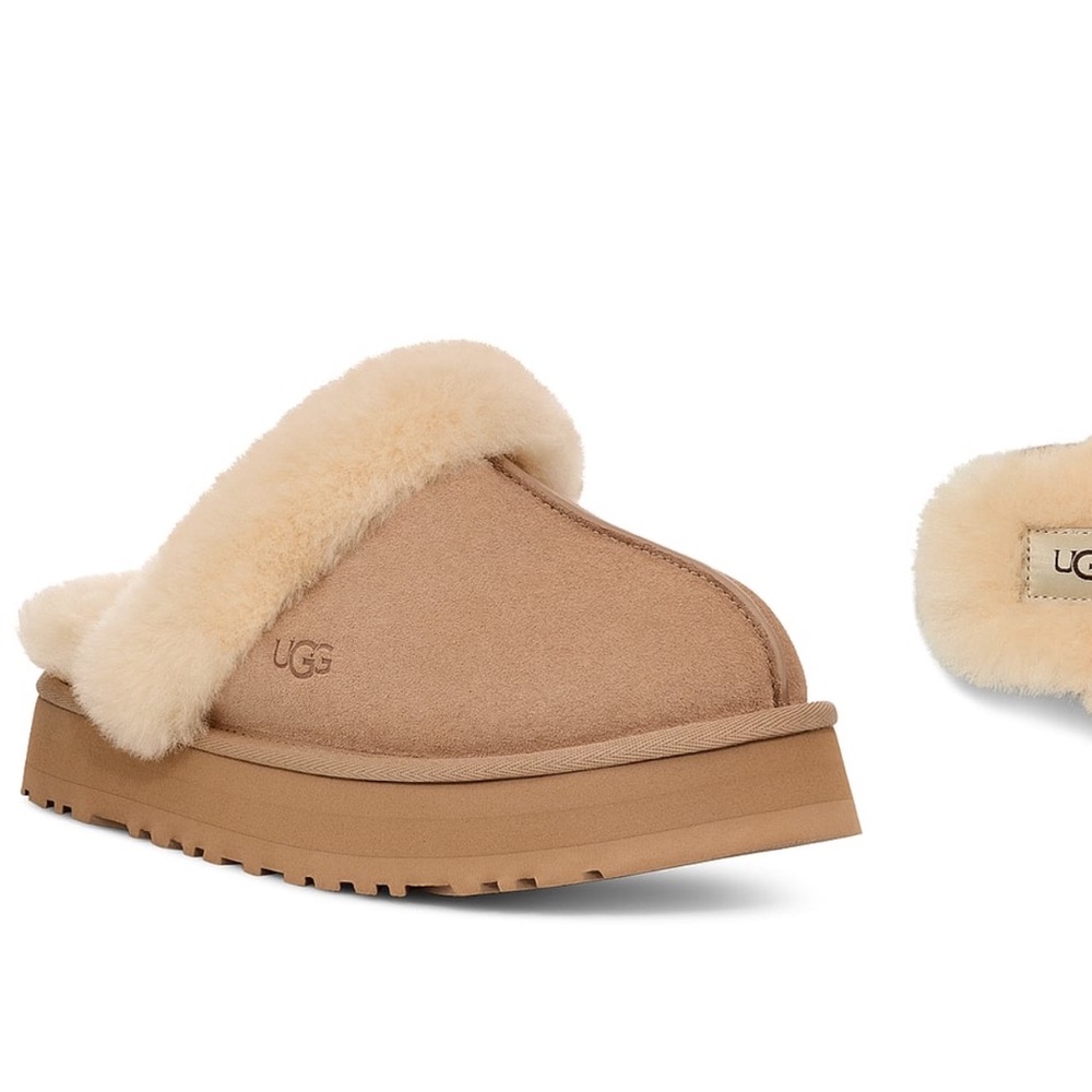 Disquette uggs brand new